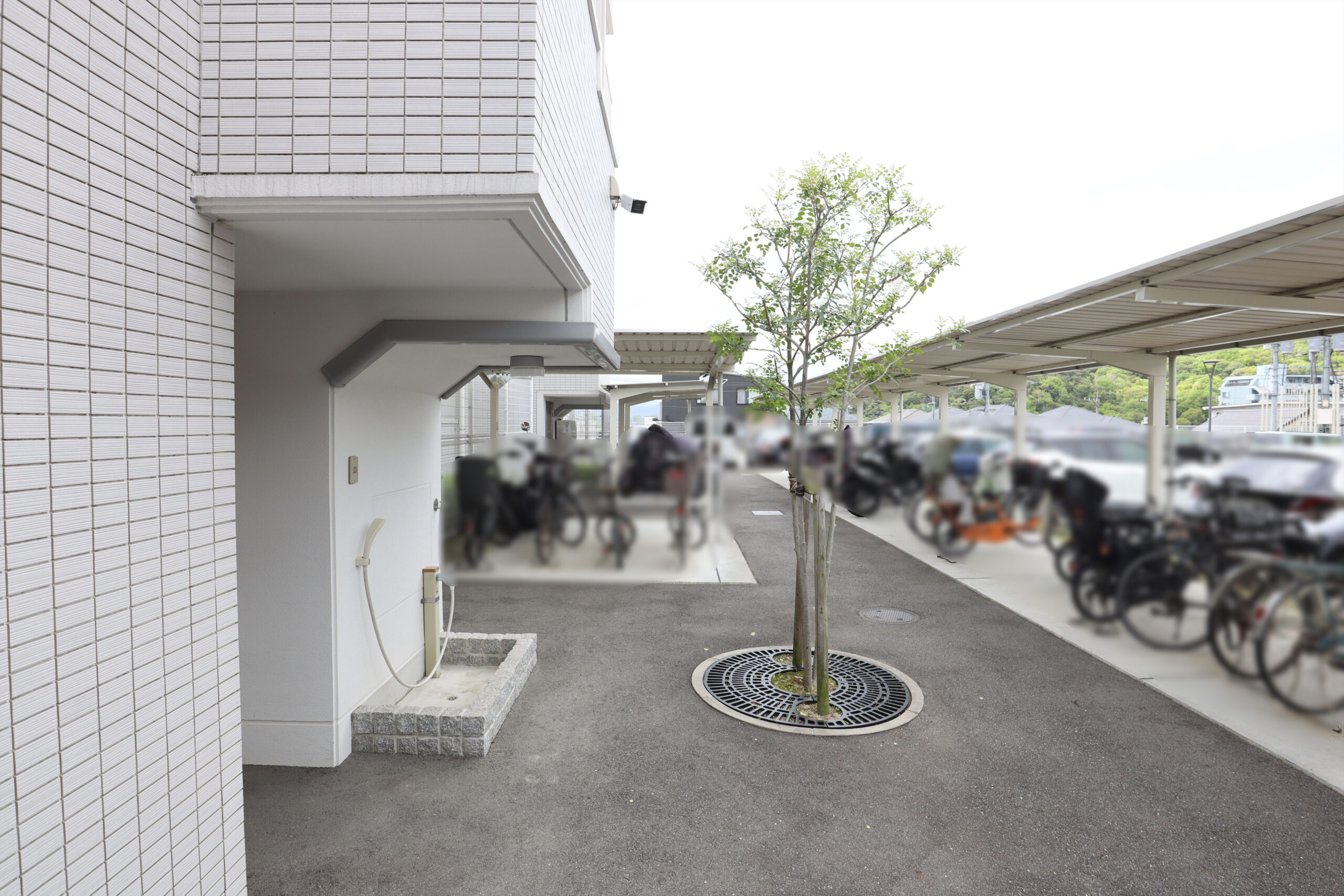 写真:ヴェルディ牛田早稲田パームテラス